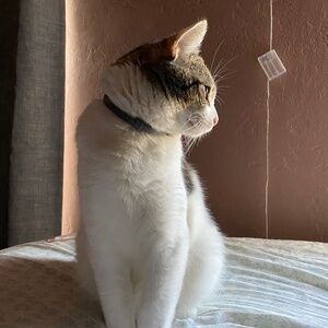 Meet your Posher, Sonoma